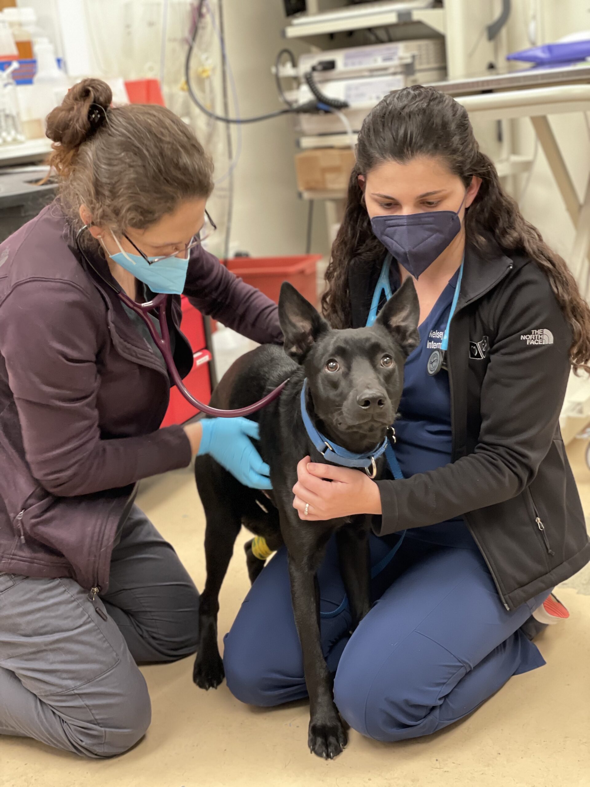 Warning – Leptospirosis Outbreak