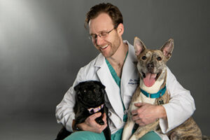 020819_Hammond_17cr_pet