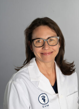Julia Chant, DVM, CVA, CVSMT