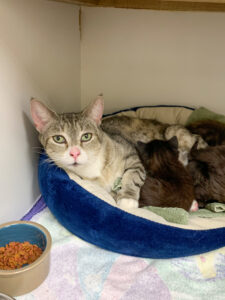 2E2B5245-3577-41C1-9AE6-8FA9BB8DB019