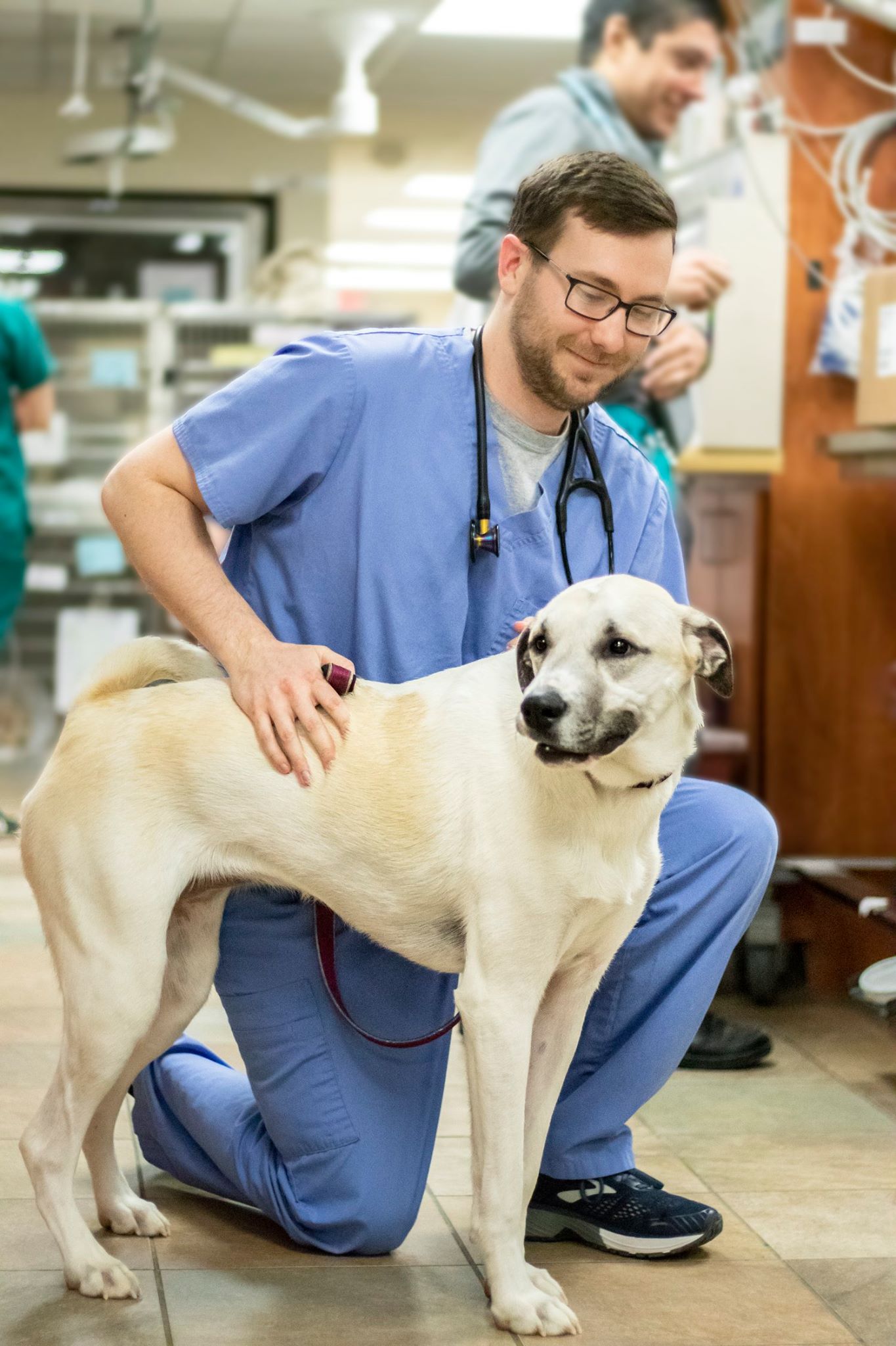 Icemelt Ingestion a Danger to Pets