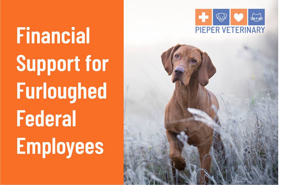 Financial Support for Furloughed Employees