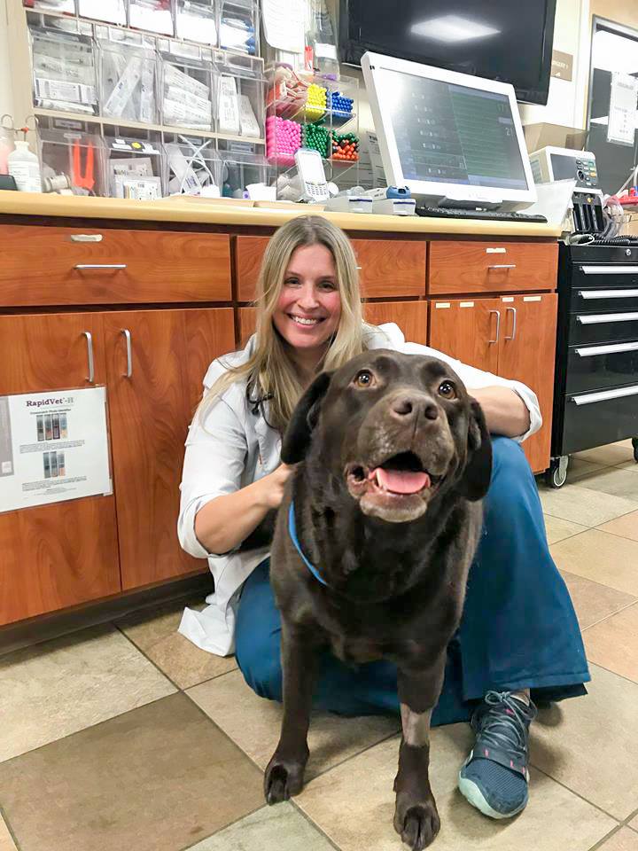 The Dangers of Xylitol