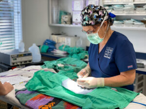 8E8188B6-F9DB-4360-A161-B9713DF2FCE8