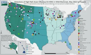 AVMANews20241230-HPAI-map-620x377