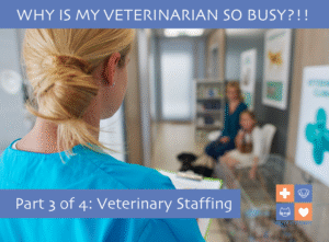 Busy_Vet_Images-04