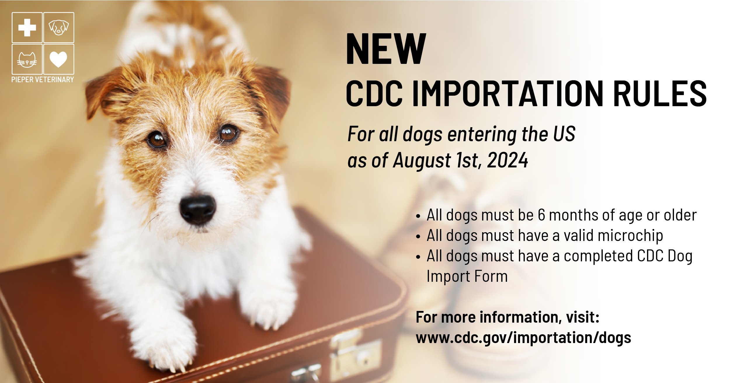 New CDC Rules for Dogs Entering the US