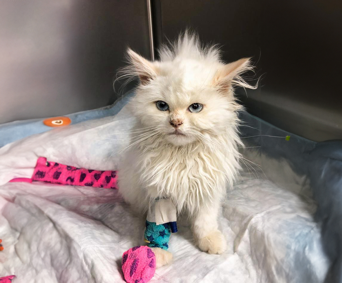 Minimally invasive procedures: