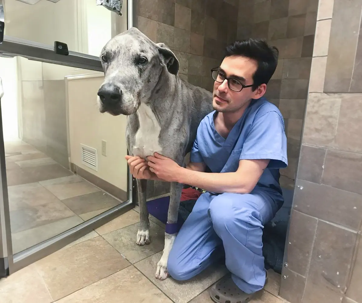 Diseases affecting the nervous system include: