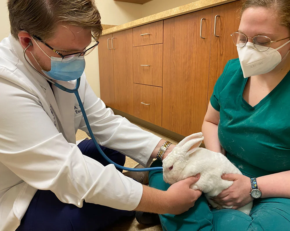 avian veterinarian services