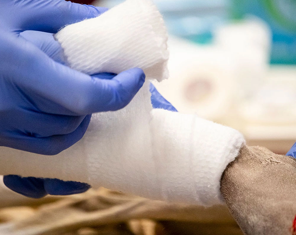 primary-care-surgery