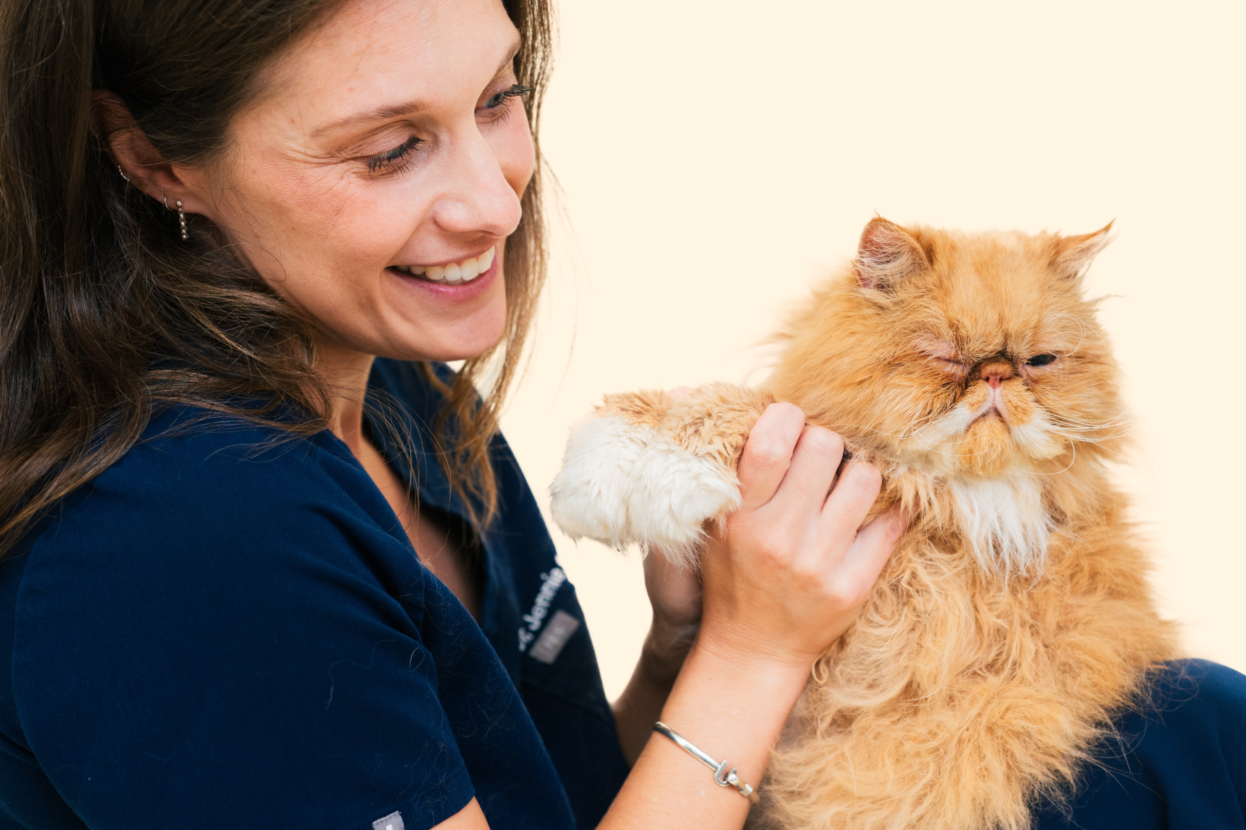 Do Indoor Cats Need Vaccines and Check-Ups? The Vet’s Answer Might Surprise You