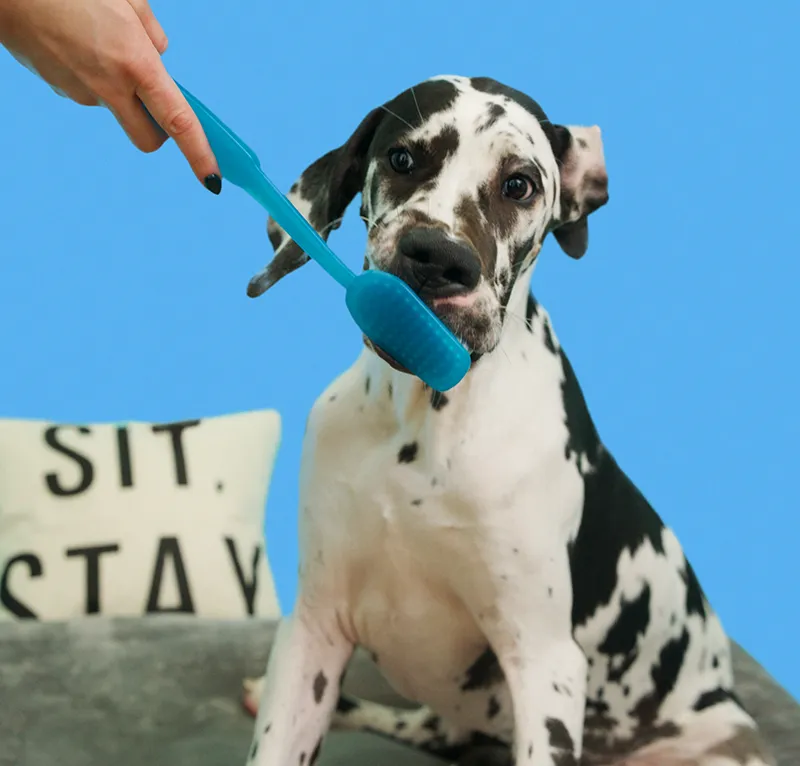 Caring for Pets & Those who Love Them for Over 80 Years