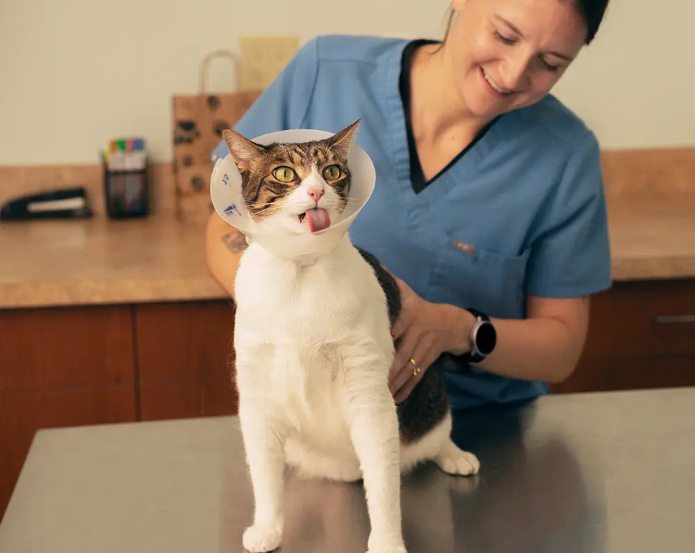 Primary care surgery pic